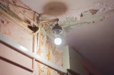 ohne Stemmarbeiten ohne Stemmarbeiten